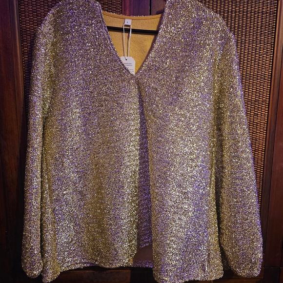 Tops - Gold Sequin V-Neck Blouse NWT Boutique Top